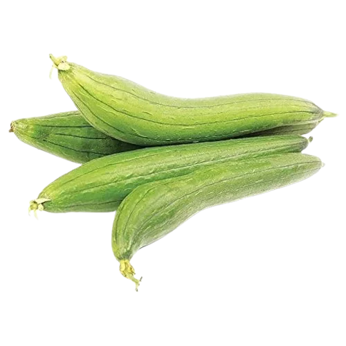 Buy Sponge Gourd Online Home Delivery by Green Harvest